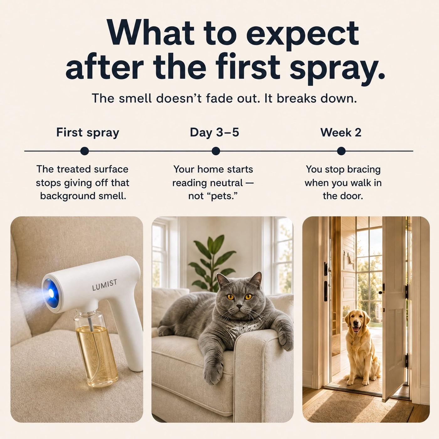 What to expect after the first spray: background smell gone, home reads neutral by day 3–5, you stop bracing by week 2